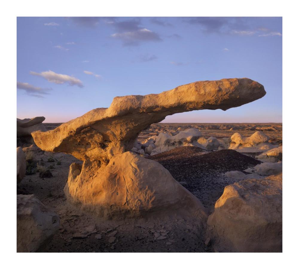 Eroded Rock, Bisti Badlands, Bisti Wilderness Area, New Mexico-Paper Art-18X16.24
