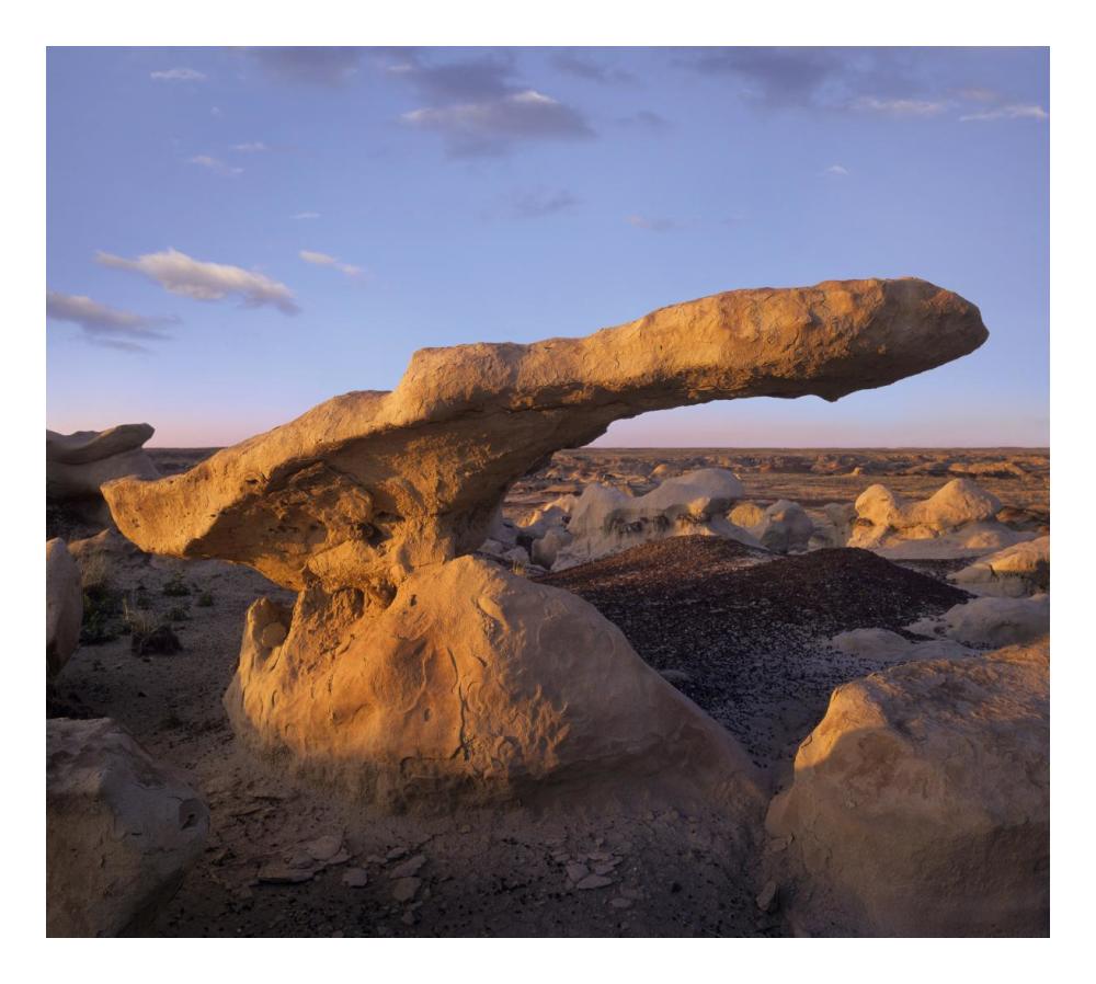 Eroded Rock, Bisti Badlands, Bisti Wilderness Area, New Mexico-Paper Art-24X21.58
