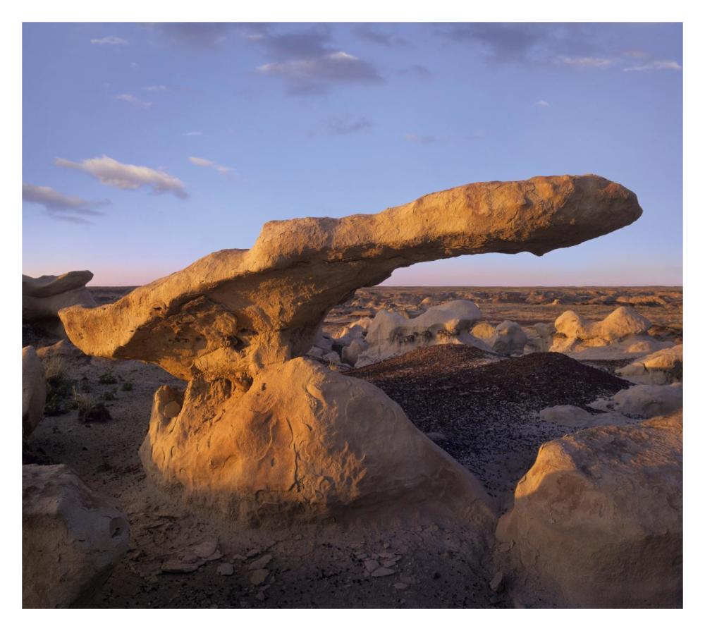 Eroded Rock, Bisti Badlands, Bisti Wilderness Area, New Mexico-Paper Art-32X28.7