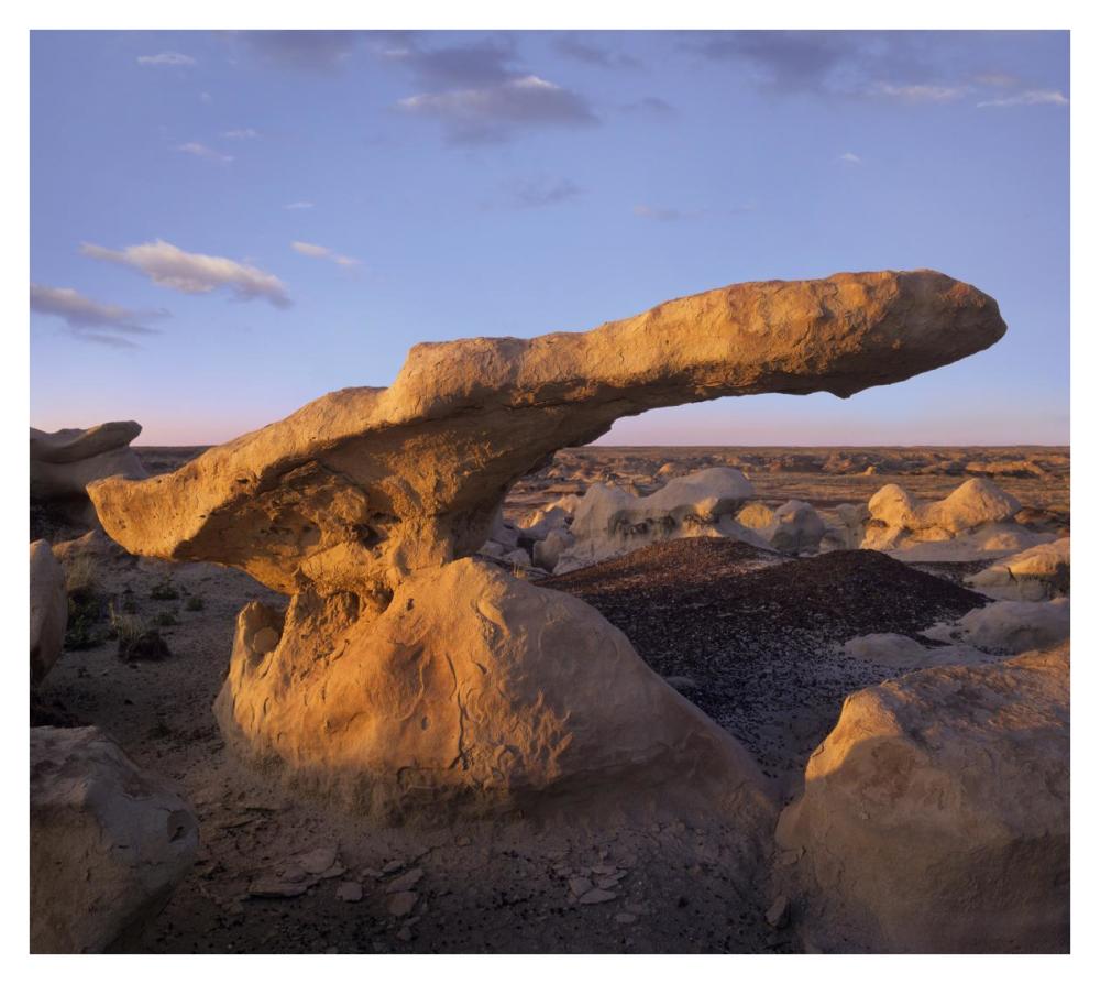Eroded Rock, Bisti Badlands, Bisti Wilderness Area, New Mexico-Paper Art-38X34.04