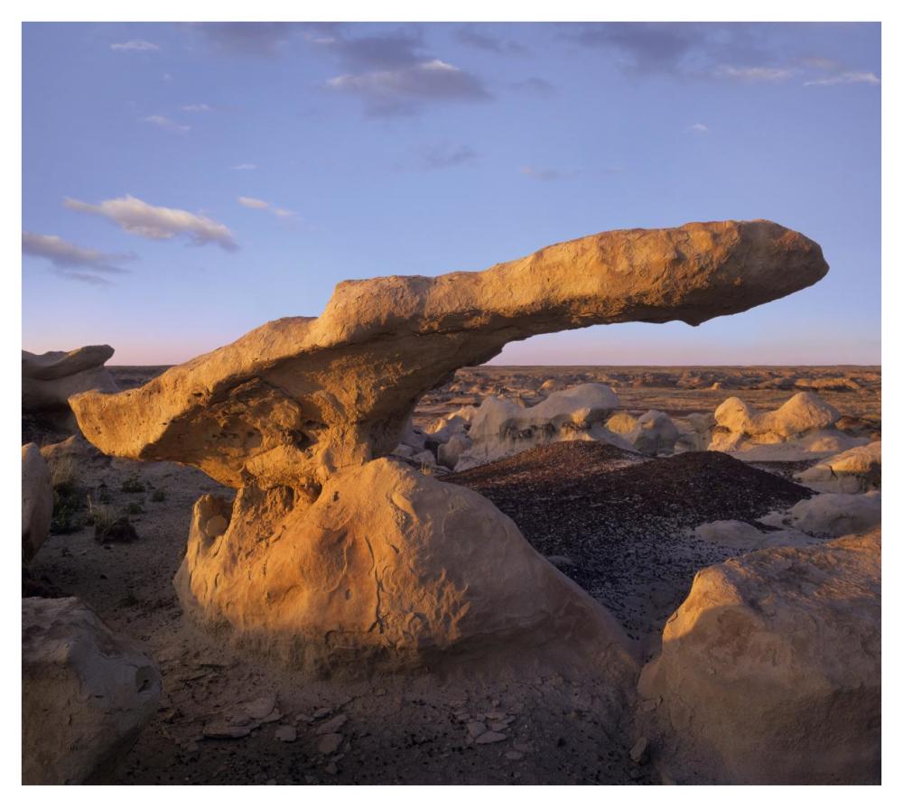 Eroded Rock, Bisti Badlands, Bisti Wilderness Area, New Mexico-Paper Art-42X37.6
