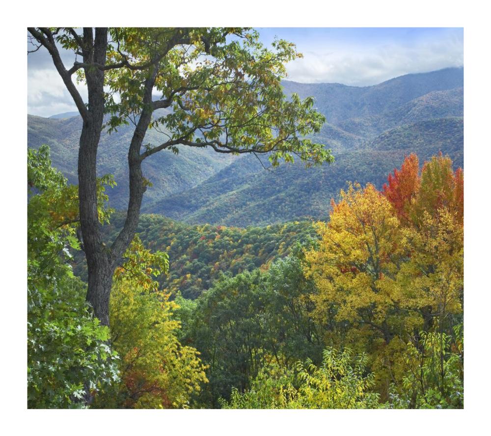 Deciduous Forest In Autumn, Blue Ridge Parkway, North Carolina-Paper Art-18X16.08