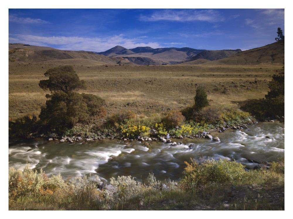 River Flowing Though Meadow, Yellowstone National Park, Wyoming-Paper Art-18X14