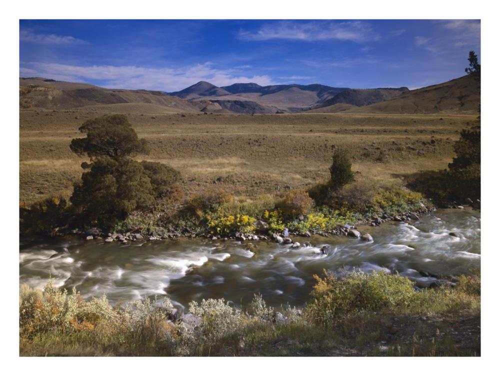 River Flowing Though Meadow, Yellowstone National Park, Wyoming-Paper Art-26X20