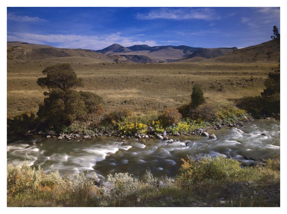 River Flowing Though Meadow, Yellowstone National Park, Wyoming-Paper Art-42X32