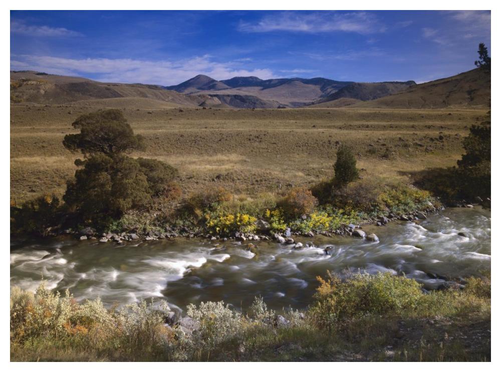 River Flowing Though Meadow, Yellowstone National Park, Wyoming-Paper Art-50X38