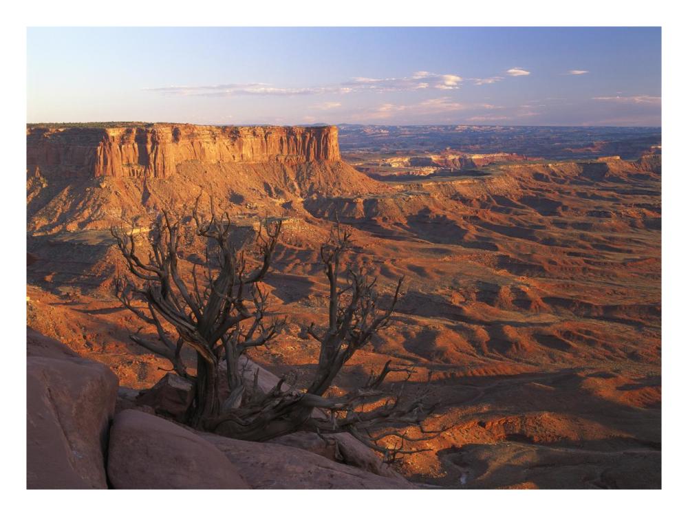 View From Green River Overlook, Canyonlands National Park, Utah-Paper Art-26X20