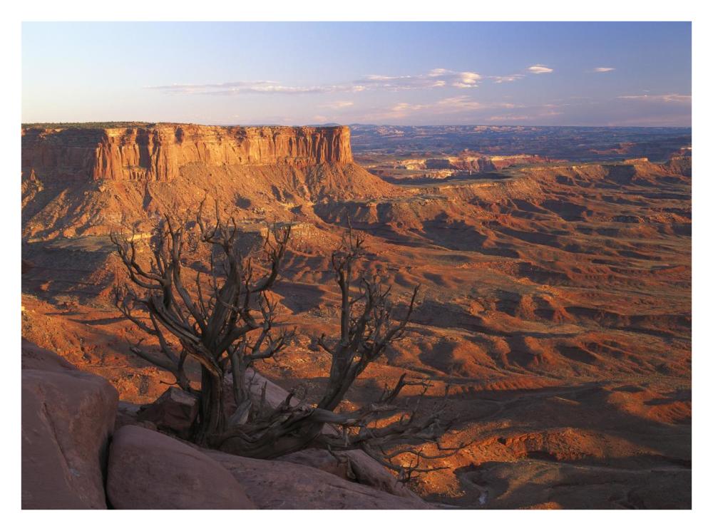 View From Green River Overlook, Canyonlands National Park, Utah-Paper Art-34X26