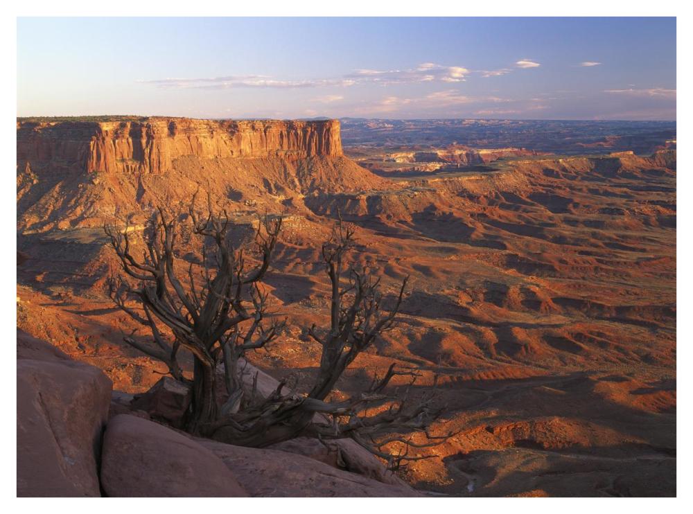View From Green River Overlook, Canyonlands National Park, Utah-Paper Art-42X32