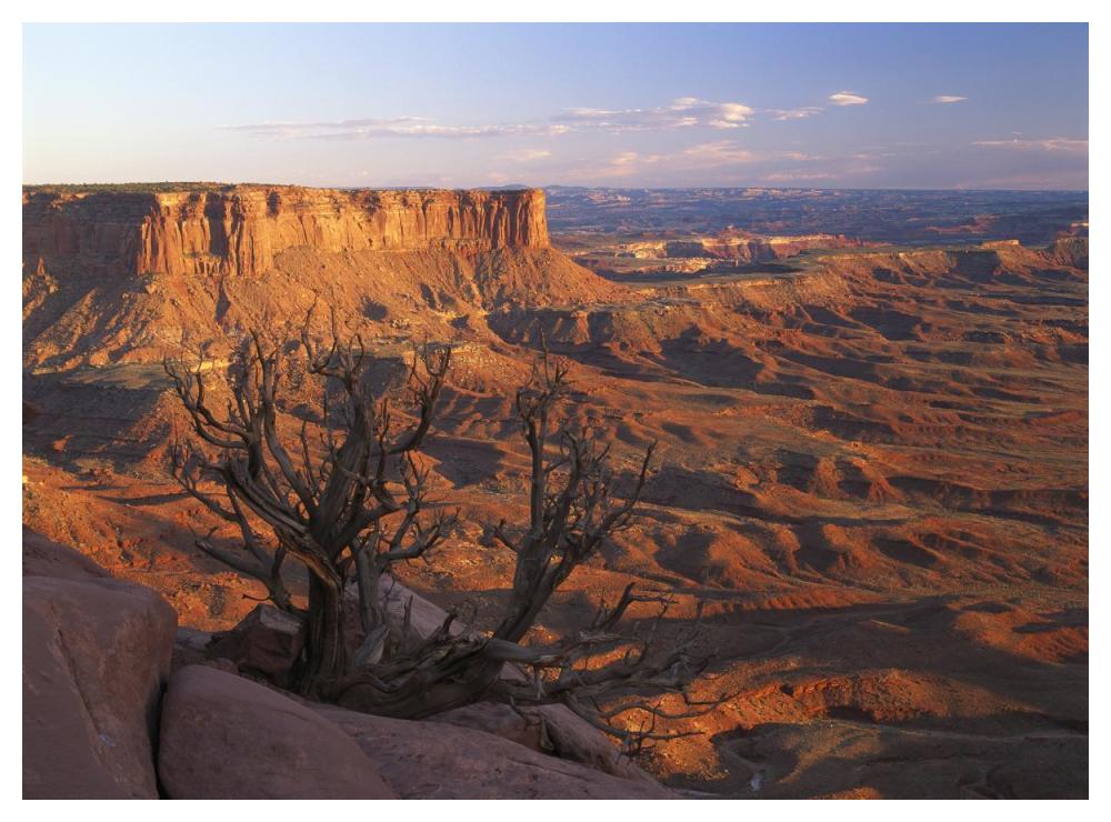 View From Green River Overlook, Canyonlands National Park, Utah-Paper Art-50X38