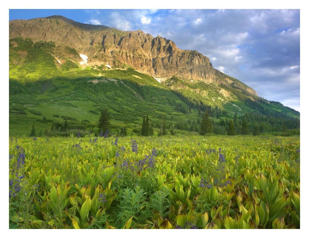 Gothic Mountain Overlooking Meadow Near Crested Butte, Colorado-Paper Art-18X14