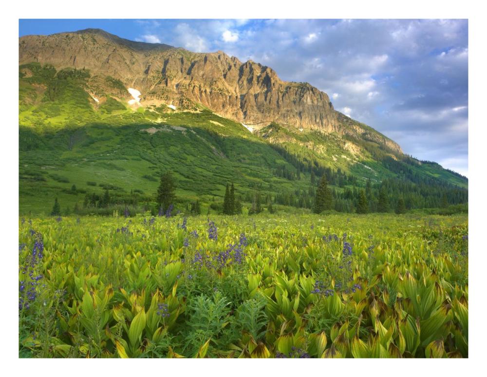 Gothic Mountain Overlooking Meadow Near Crested Butte, Colorado-Paper Art-26X20