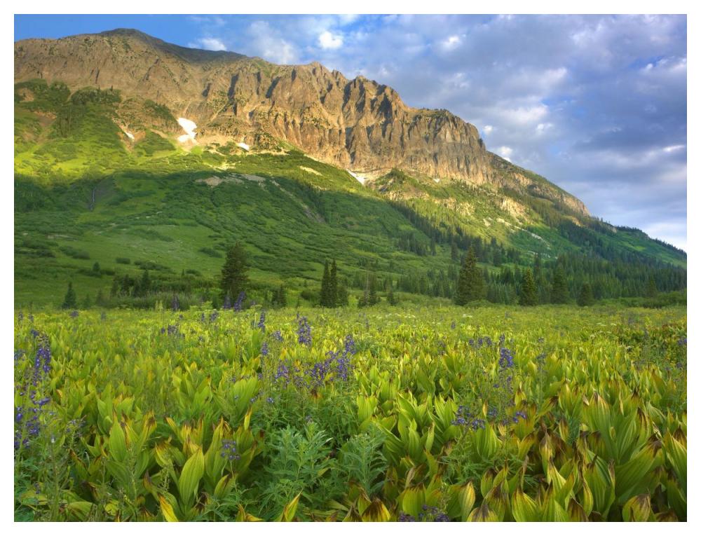 Gothic Mountain Overlooking Meadow Near Crested Butte, Colorado-Paper Art-50X38