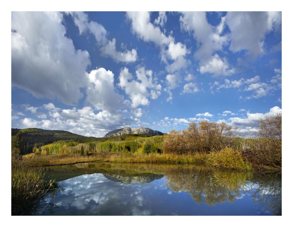 Pond Near East Beckwith Mountain, West Elk Wilderness, Colorado-Paper Art-26X20