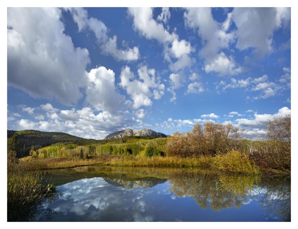 Pond Near East Beckwith Mountain, West Elk Wilderness, Colorado-Paper Art-42X32
