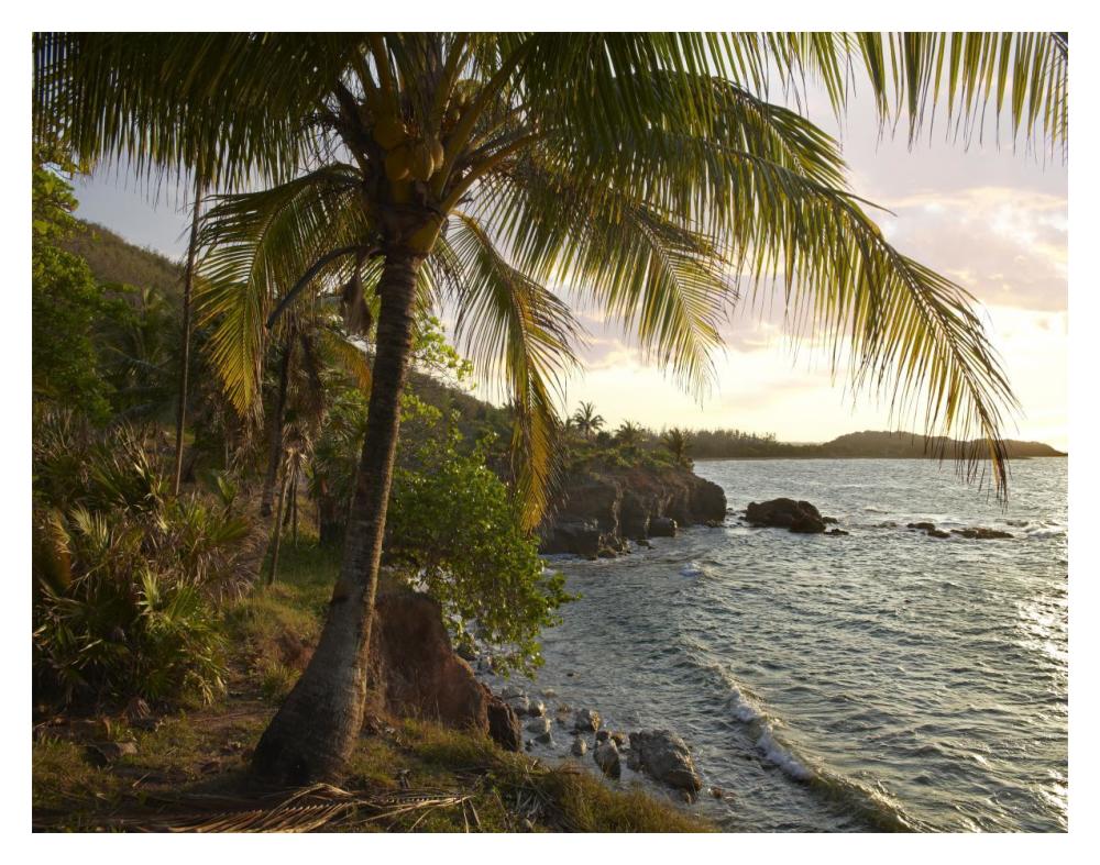 Wilkes Point At Sunset With Palm Trees, Roatan Island, Honduras-Paper Art-18X14