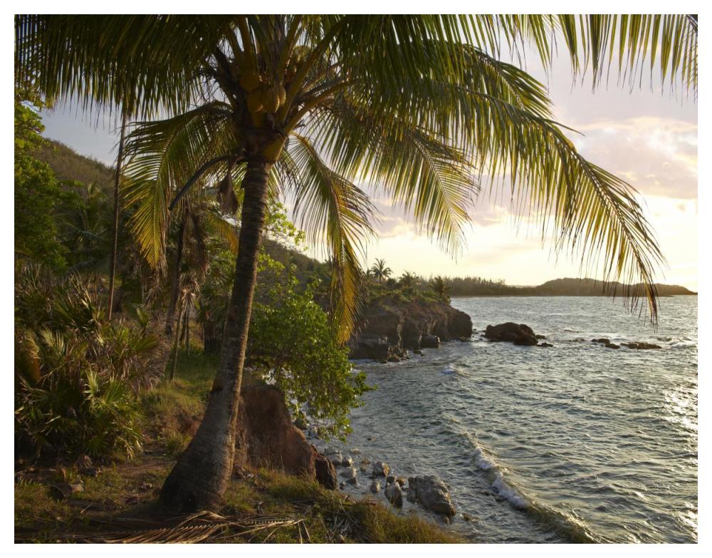 Wilkes Point At Sunset With Palm Trees, Roatan Island, Honduras-Paper Art-50X38