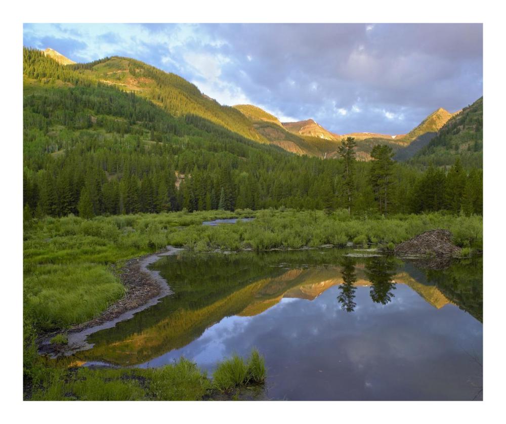 Pond And Boreal Forest, Ruby Range Near Crested Butte, Colorado-Paper Art-22X18