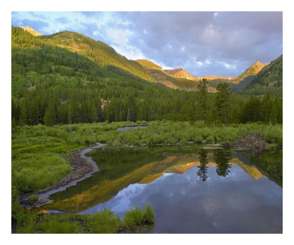 Pond And Boreal Forest, Ruby Range Near Crested Butte, Colorado-Paper Art-26X22