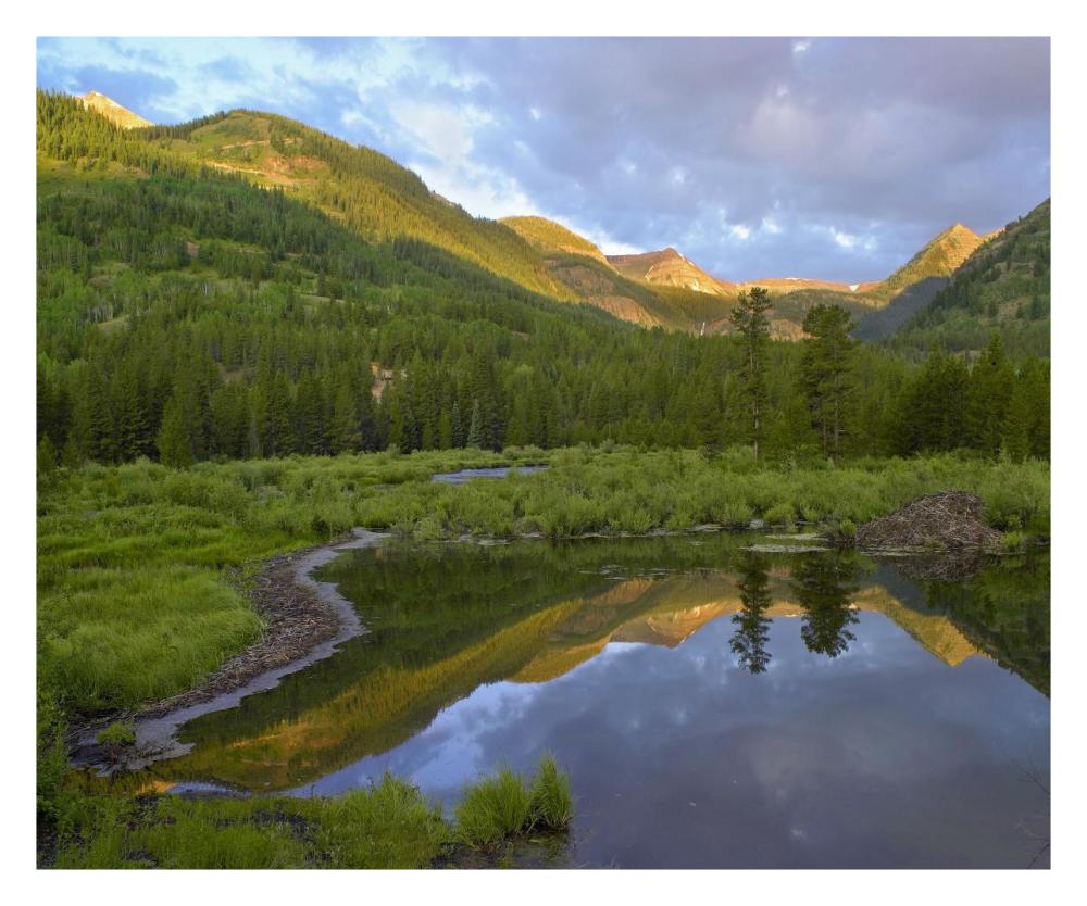 Pond And Boreal Forest, Ruby Range Near Crested Butte, Colorado-Paper Art-30X24