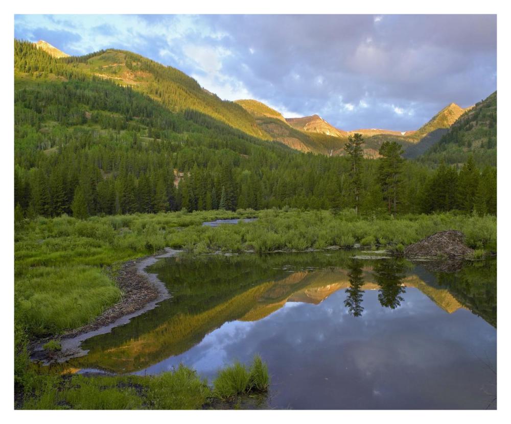 Pond And Boreal Forest, Ruby Range Near Crested Butte, Colorado-Paper Art-37X30