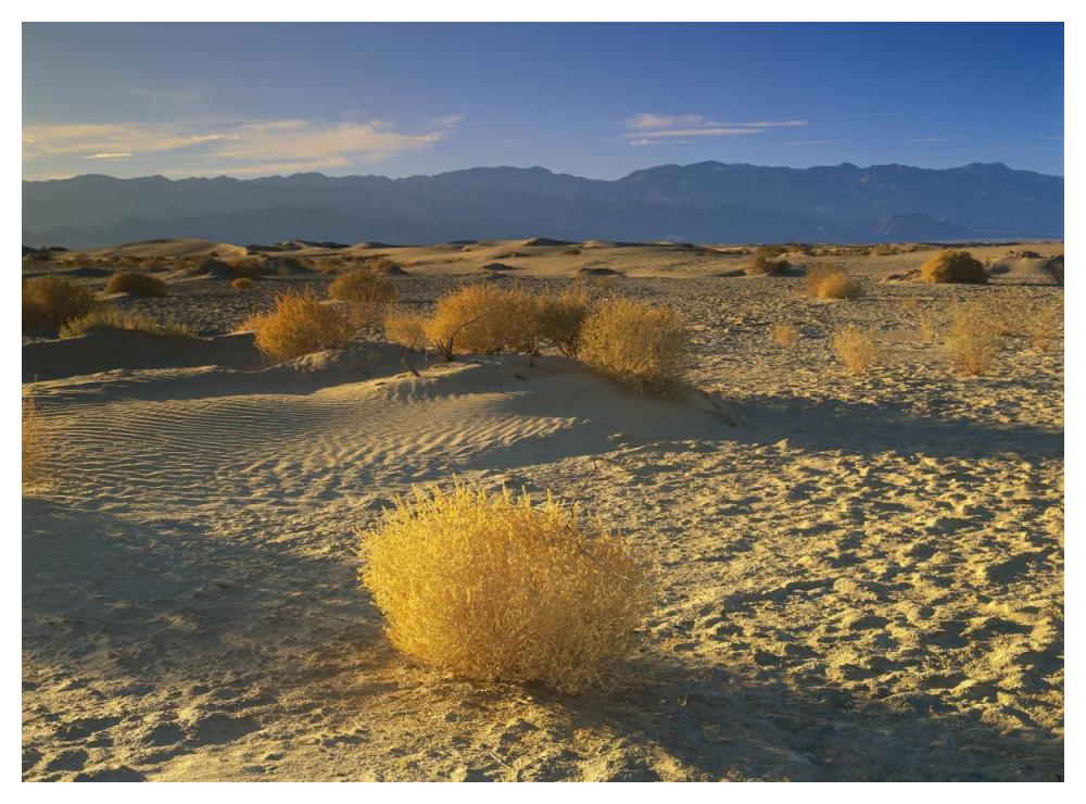 Mesquite Flat Sand Dunes, Death Valley National Park, California-Paper Art-50X38