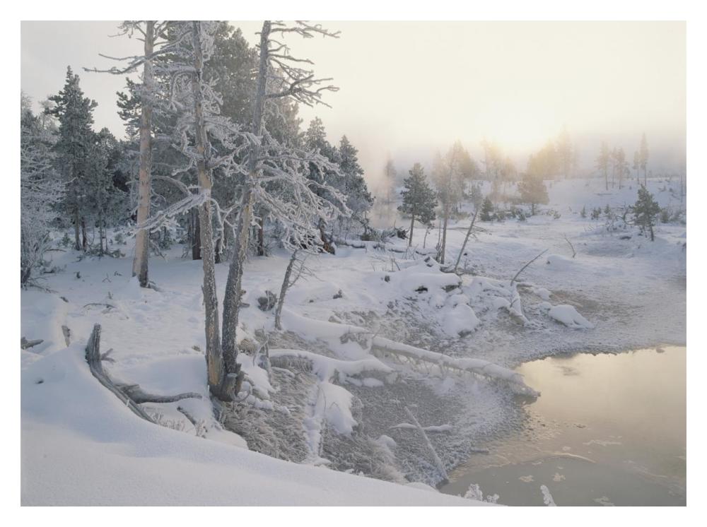 Upper Geyser Basin In Winter, Yellowstone National Park, Wyoming-Paper Art-18X14