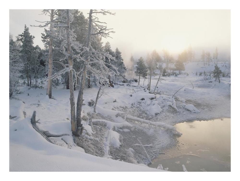 Upper Geyser Basin In Winter, Yellowstone National Park, Wyoming-Paper Art-26X20