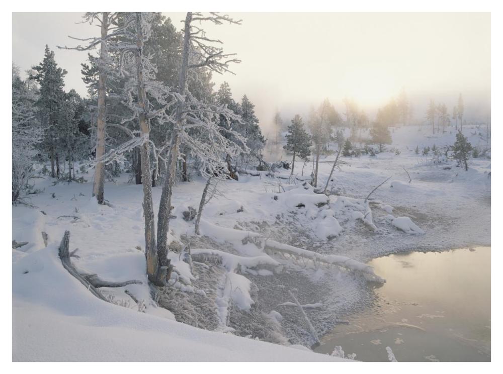 Upper Geyser Basin In Winter, Yellowstone National Park, Wyoming-Paper Art-42X32