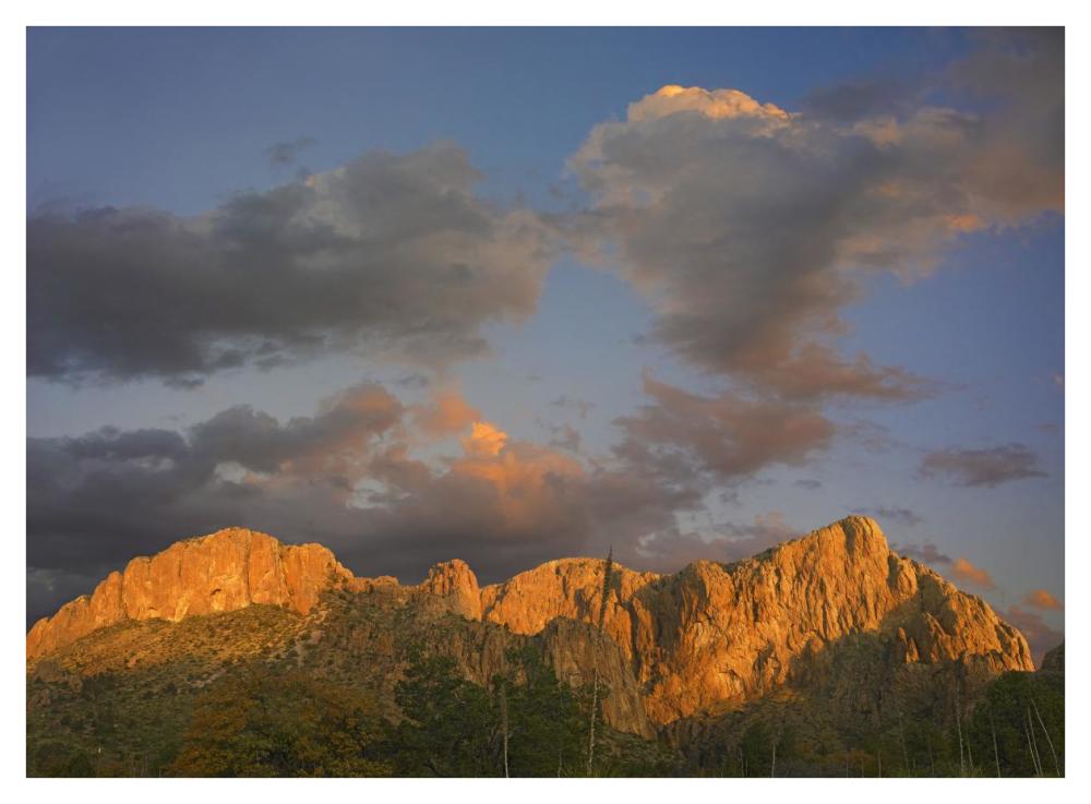 Sunlight Illuminating Chisos Mountains, Chihuahuan Desert, Texas-Paper Art-42X32
