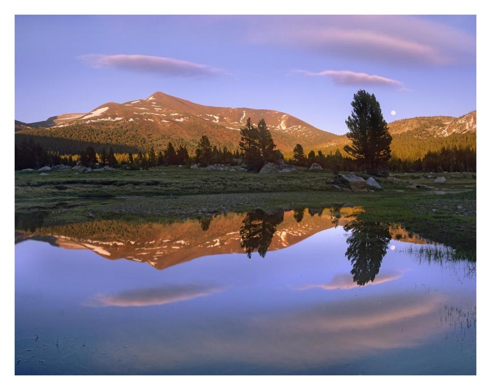 Mount Dana Reflected In Pond, Yosemite National Park, California-Paper Art-34X26
