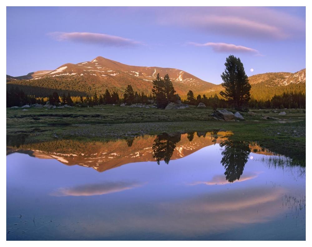 Mount Dana Reflected In Pond, Yosemite National Park, California-Paper Art-50X38