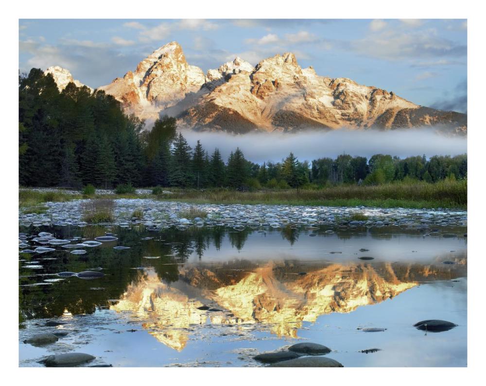 Pond Reflecting Grand Tetons, Grand Teton National Park, Wyoming-Paper Art-26X20