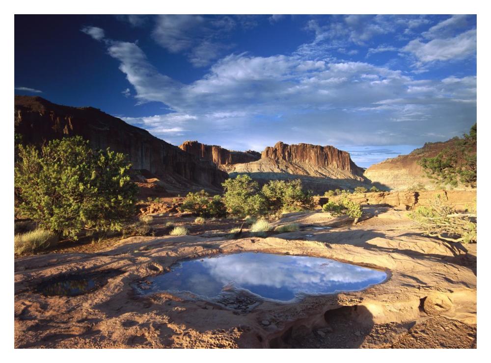 Water Pothole At Panorama Point, Capitol Reef National Park, Utah-Paper Art-18X14
