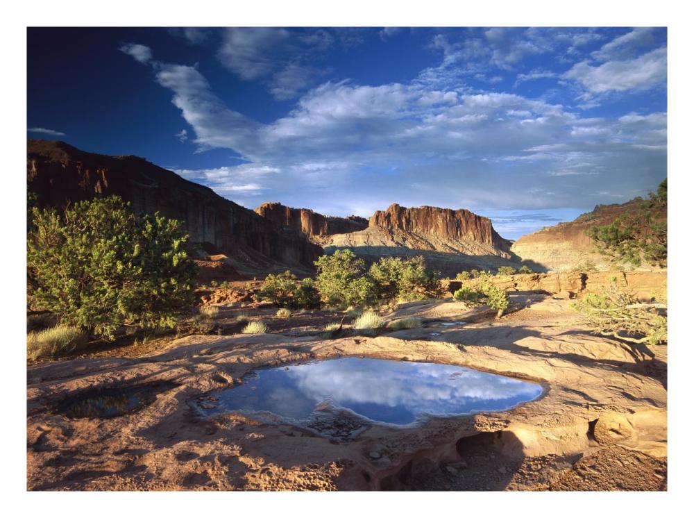 Water Pothole At Panorama Point, Capitol Reef National Park, Utah-Paper Art-26X20