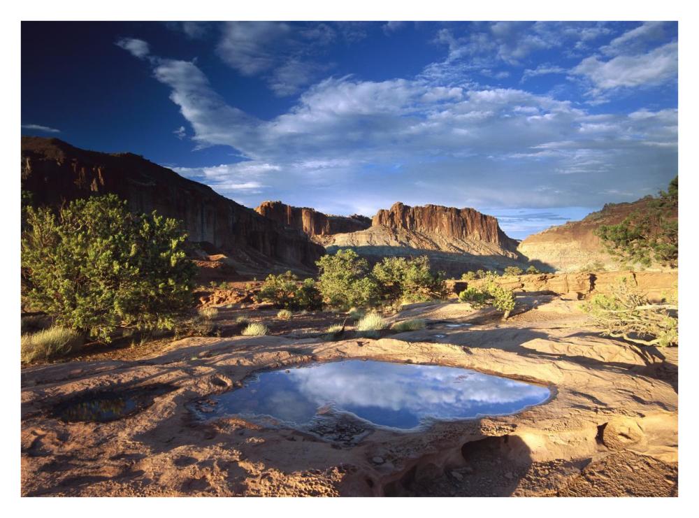 Water Pothole At Panorama Point, Capitol Reef National Park, Utah-Paper Art-34X26
