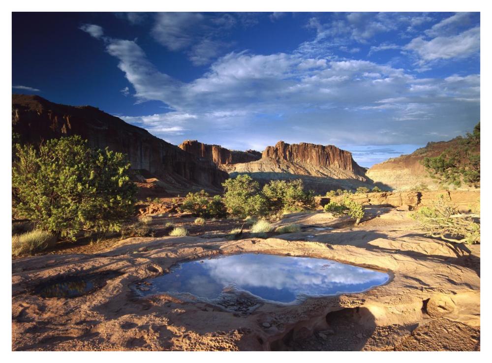Water Pothole At Panorama Point, Capitol Reef National Park, Utah-Paper Art-42X32