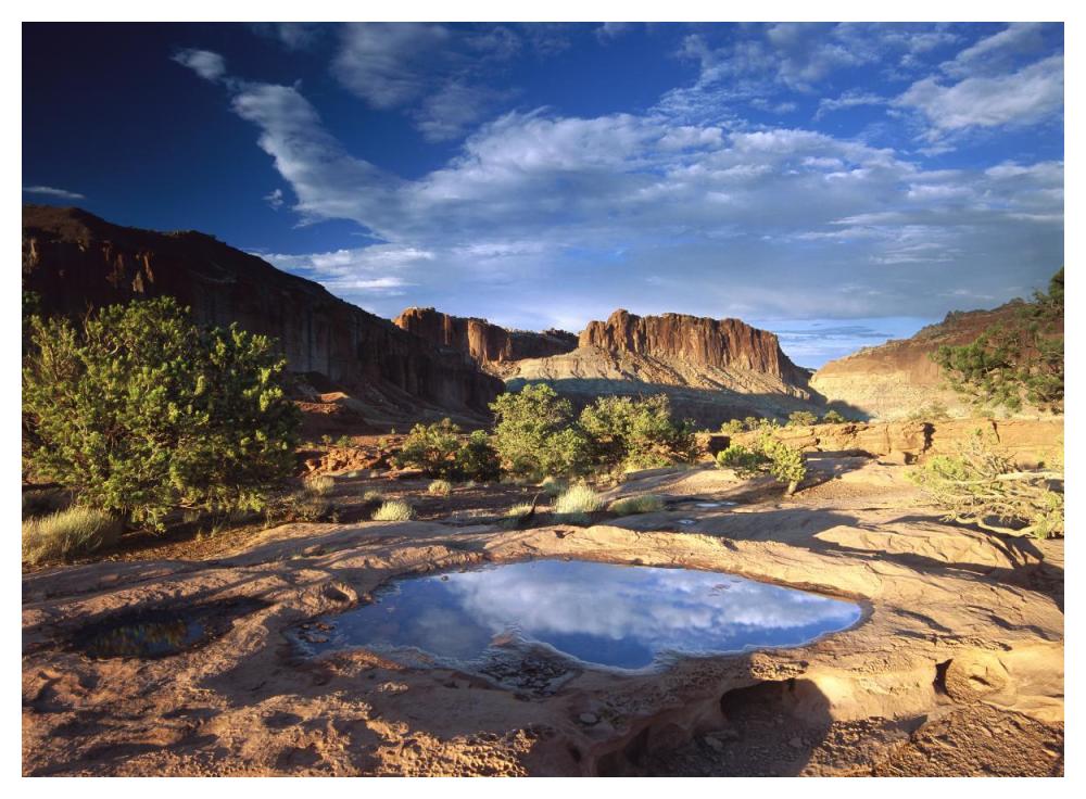 Water Pothole At Panorama Point, Capitol Reef National Park, Utah-Paper Art-50X38