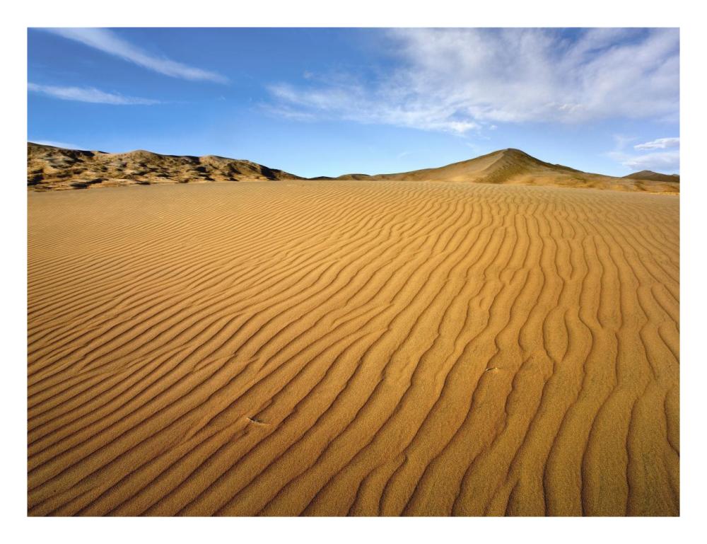 Wind Ripples In Kelso Dunes, Mojave National Preserve, California-Paper Art-26X20