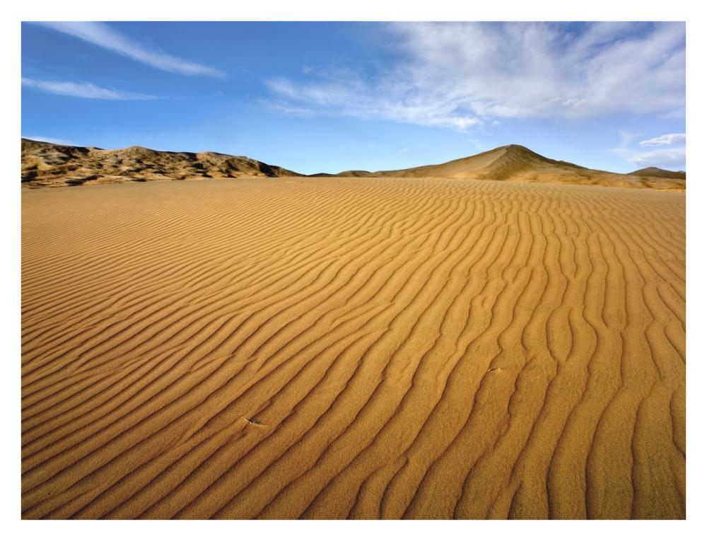 Wind Ripples In Kelso Dunes, Mojave National Preserve, California-Paper Art-34X26