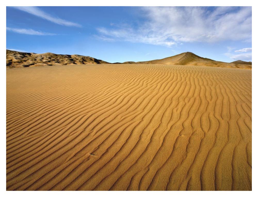 Wind Ripples In Kelso Dunes, Mojave National Preserve, California-Paper Art-42X32