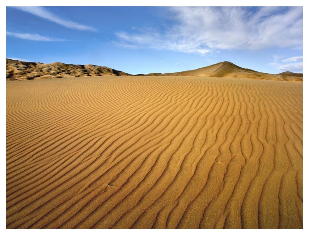 Wind Ripples In Kelso Dunes, Mojave National Preserve, California-Paper Art-50X38