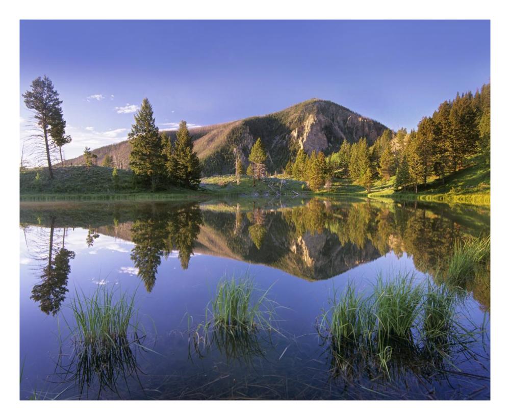 Bunsen Peak Reflected In Lake, Yellowstone National Park, Wyoming-Paper Art-26X22