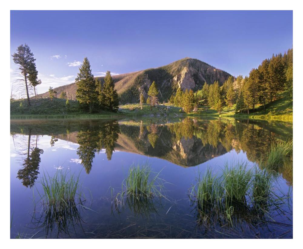 Bunsen Peak Reflected In Lake, Yellowstone National Park, Wyoming-Paper Art-30X24