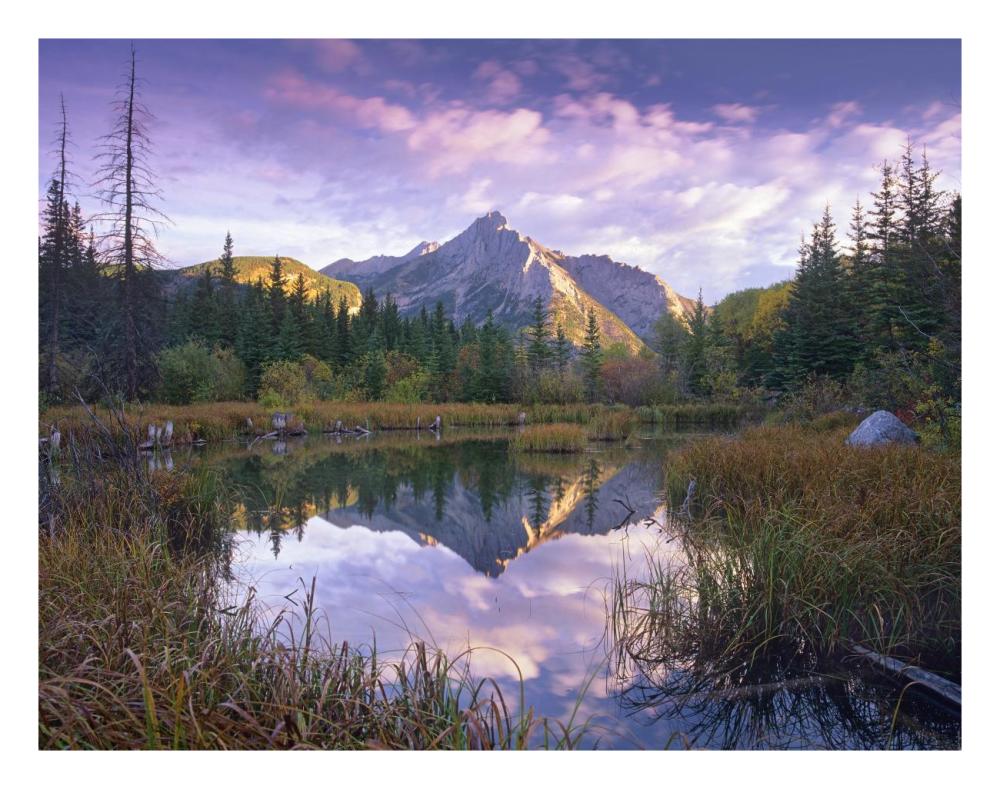 Mount Lorette And Spruce Trees Reflected In Lake, Alberta, Canada-Paper Art-26X20