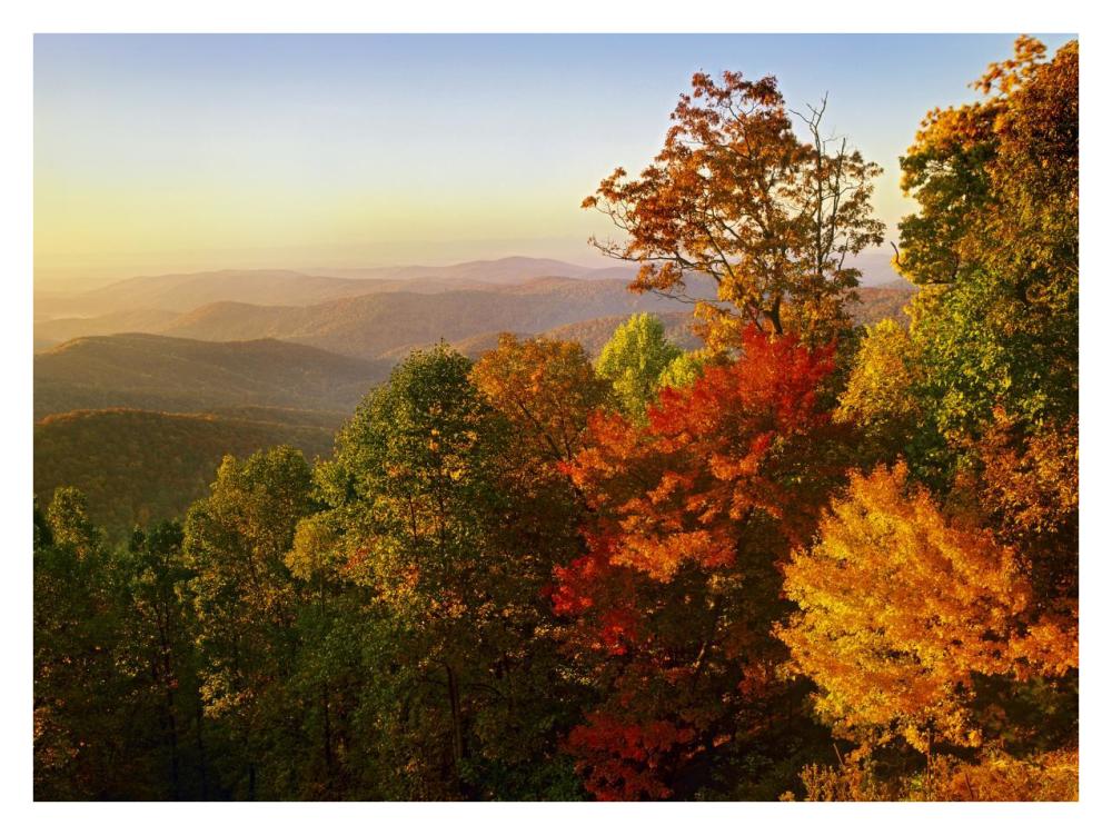 Blue Ridge Mountains From Bluff Mountain Overlook, North Carolina-Paper Art-34X26
