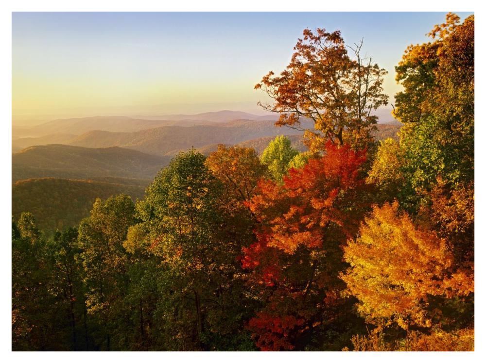 Blue Ridge Mountains From Bluff Mountain Overlook, North Carolina-Paper Art-42X32