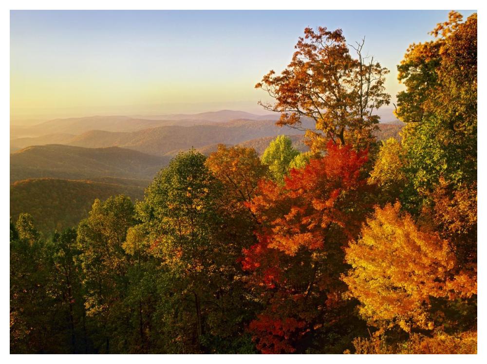 Blue Ridge Mountains From Bluff Mountain Overlook, North Carolina-Paper Art-50X38