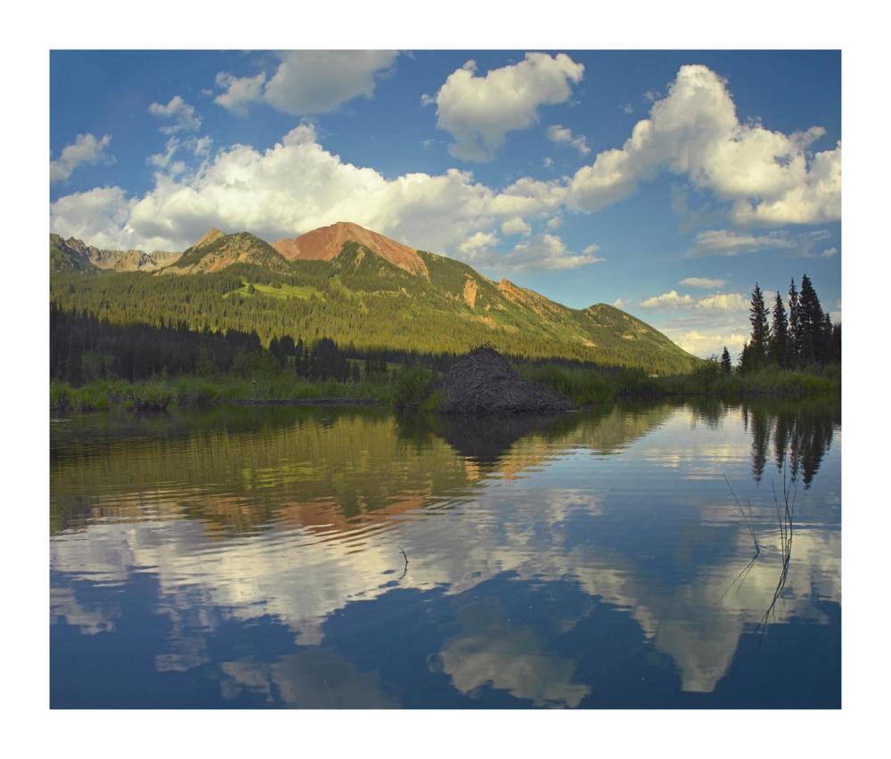 Avery Peak Reflected In Beaver Pond, San Juan Mountains, Colorado-Paper Art-18X15.28
