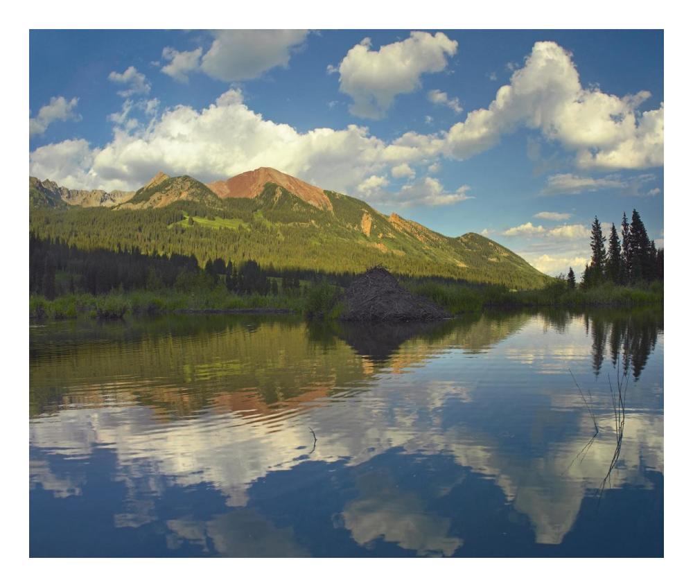 Avery Peak Reflected In Beaver Pond, San Juan Mountains, Colorado-Paper Art-24X20.26